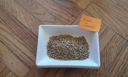 अजवाइन खाने के फायदे: संपूर्ण स्वास्थ्य का राज