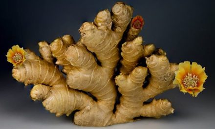 अदरक खाने के फायदे: सेहत का खज़ाना